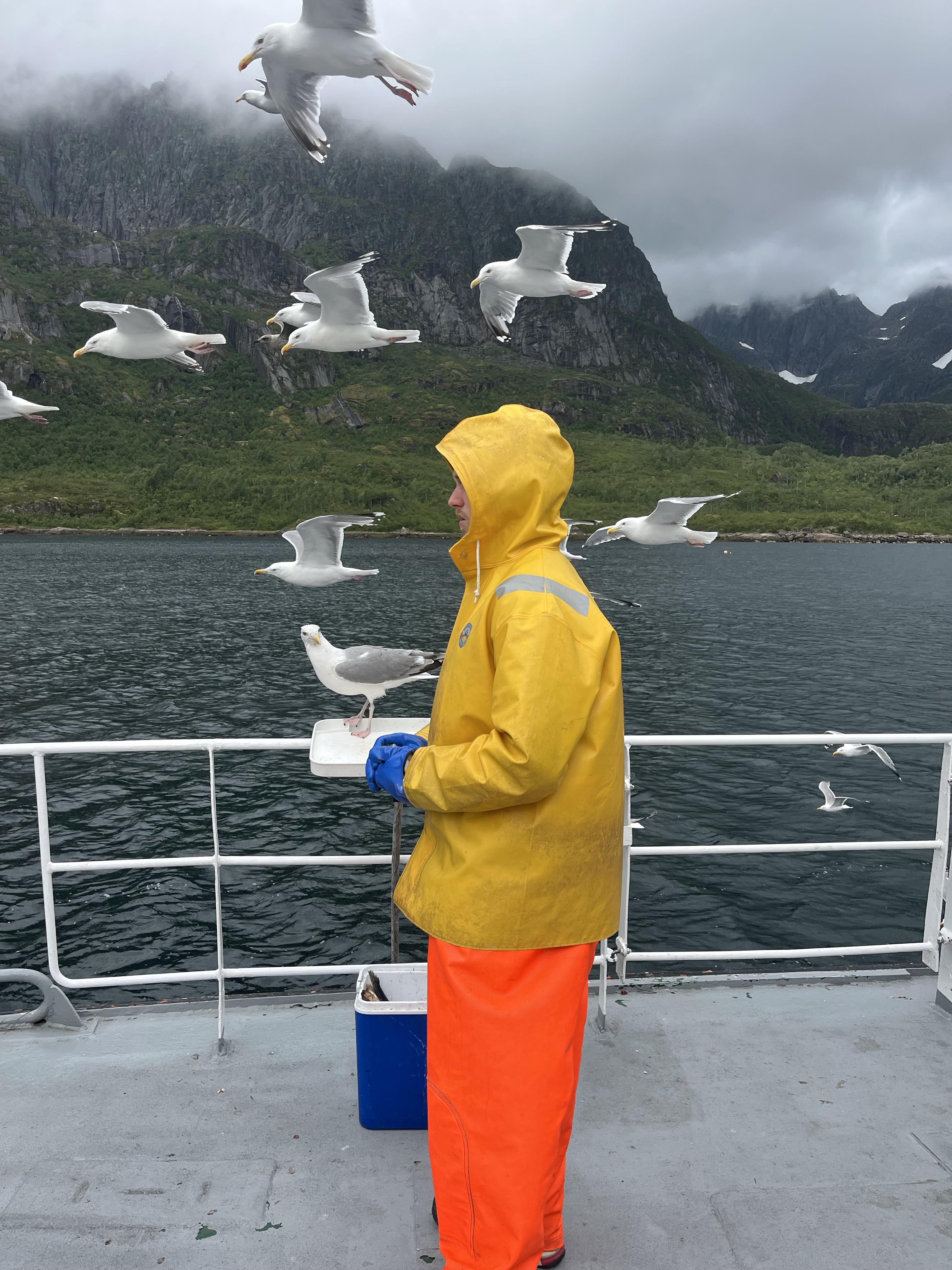 Seagulls - IMG_1700.jpeg